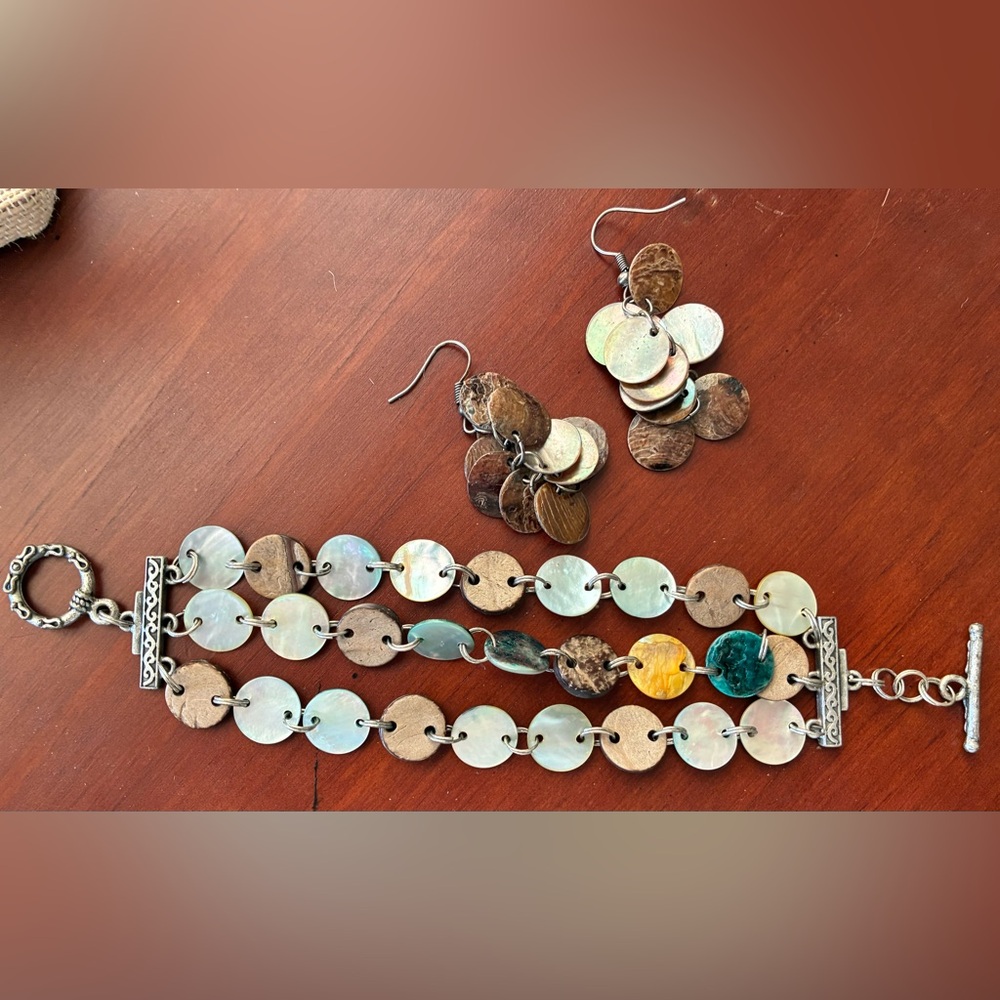 Lia Sophia Multi-Color Disc Charm Bracelet with Matching Earrings - Picture 4 of 5